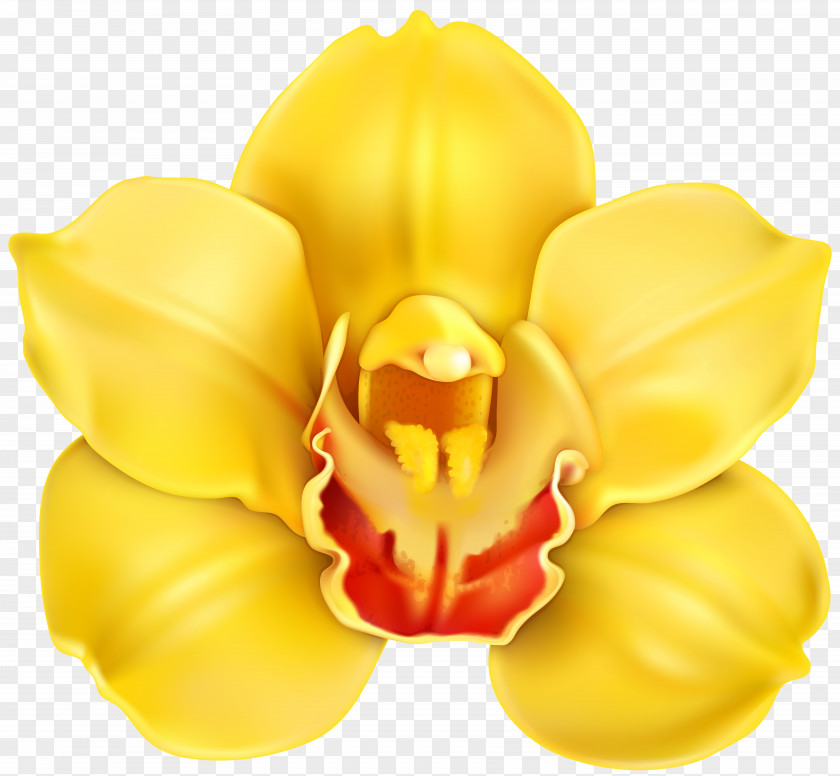 Flower Yellow Clip Art PNG