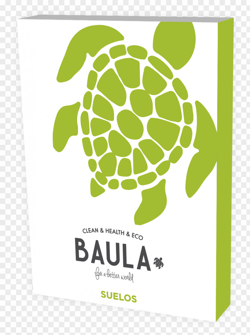 Turtle The Decal Sea Reptile PNG
