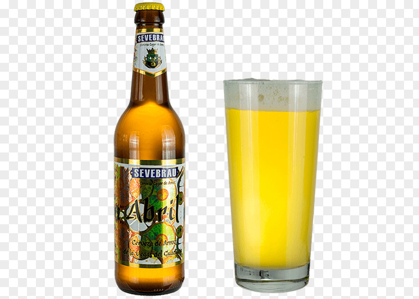 Beer Cocktail Lager Kölsch Pilsner PNG