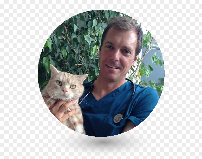 Cat Veterinary Neurology Veterinarian Royal College Of Surgeons Pet PNG