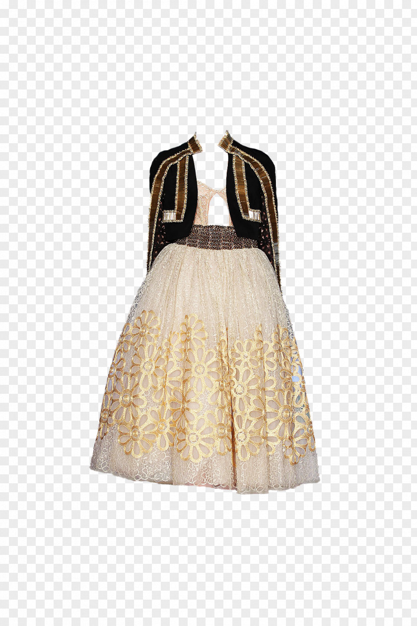 Cocktail Dress Skirt PNG
