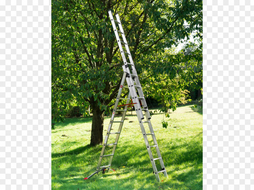 Ladder Hailo Combi 3 Section Capacity 150kg Rungs And Garden Ice Scrapers & Snow Brushes Tree PNG