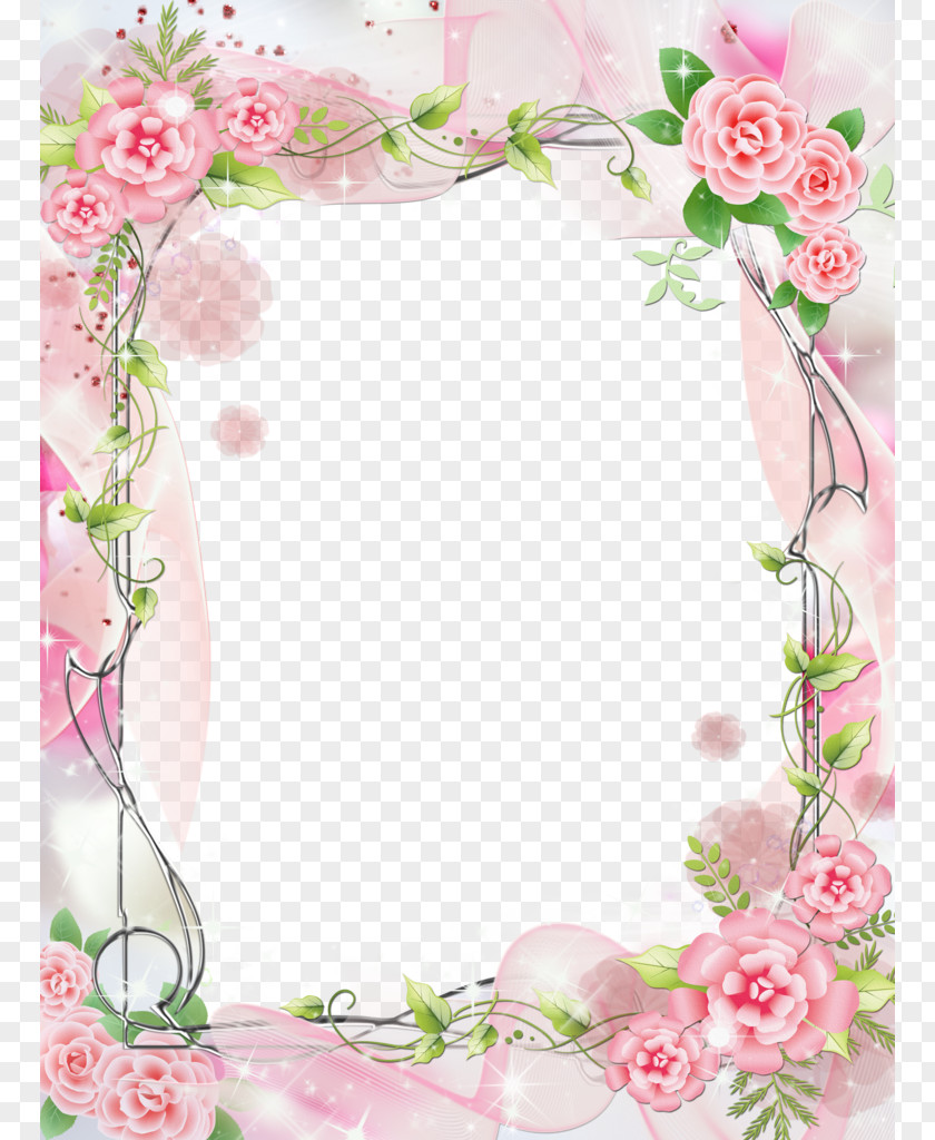 Romantic Pink Frame Park City PNG