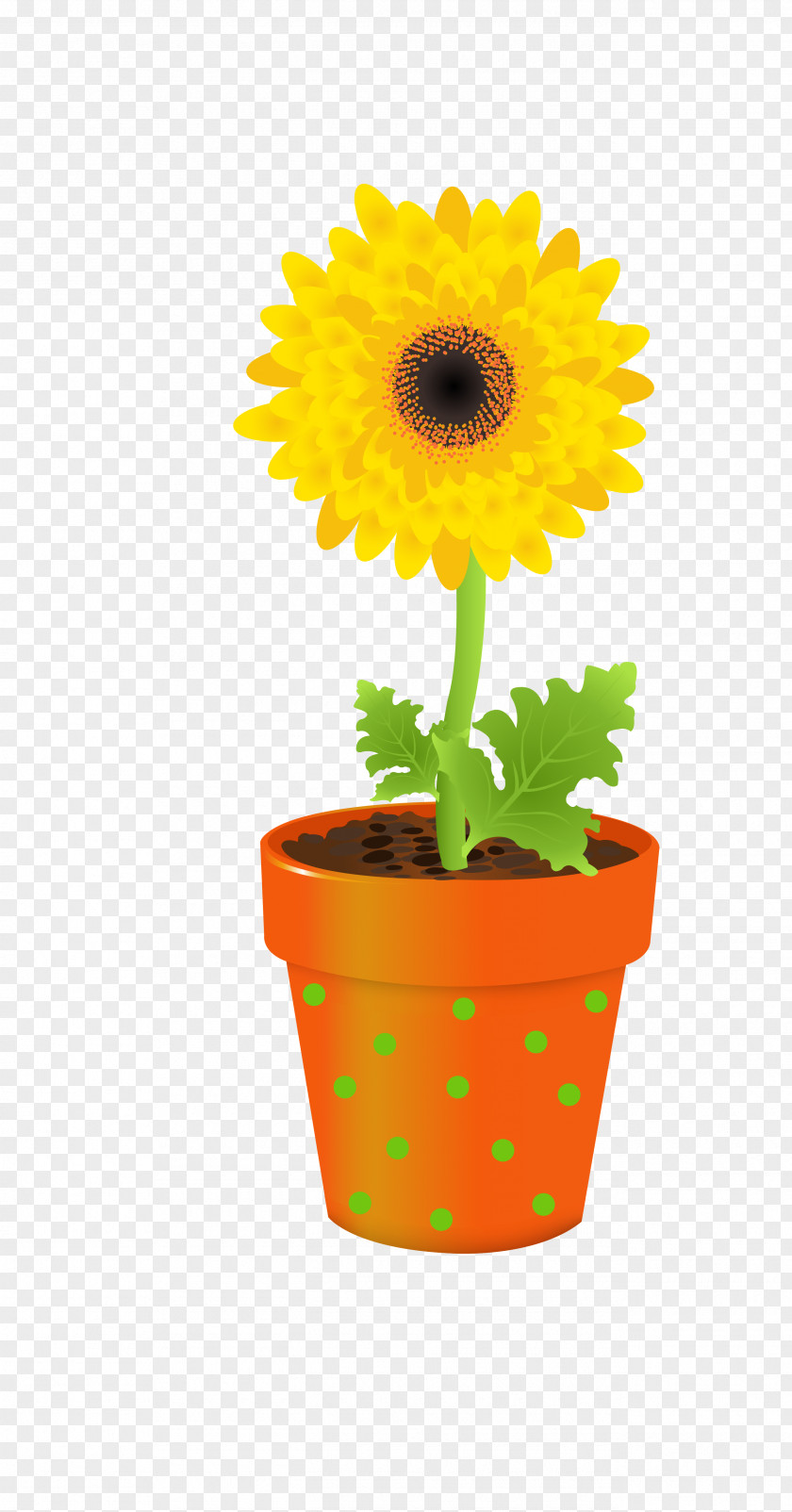 Sunflower Flower Vase Stock Photography Clip Art PNG