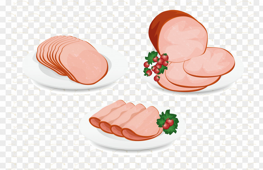 Vector Bacon Ham And Cheese Sandwich Mortadella Breakfast Animation PNG
