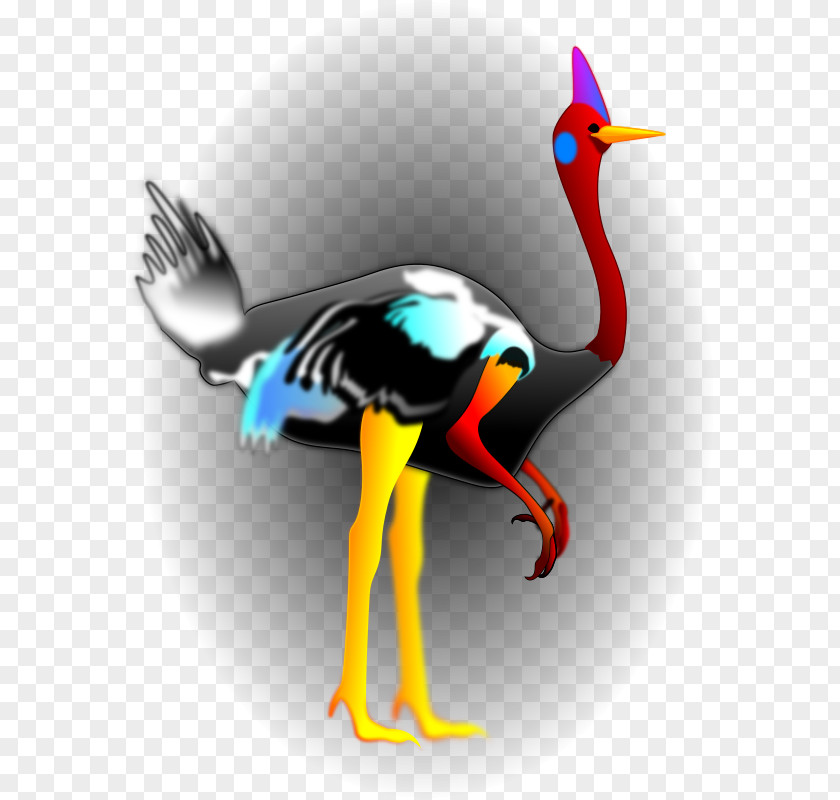 Bird Beak Clip Art PNG