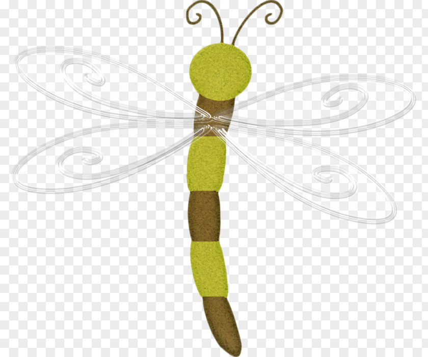 Hand-painted Dragonfly Insect Drawing PNG
