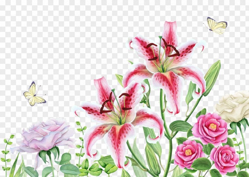 Kodak Floral Design Lilium Watercolor Painting PNG