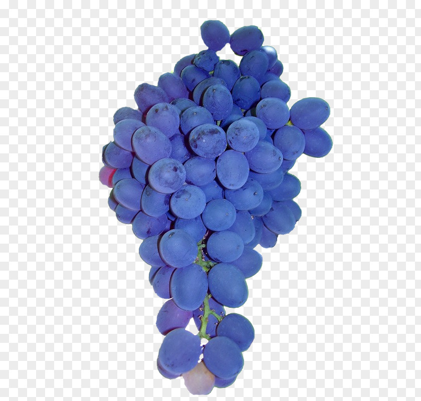 Purple Grapes Common Grape Vine Fruit Auglis PNG
