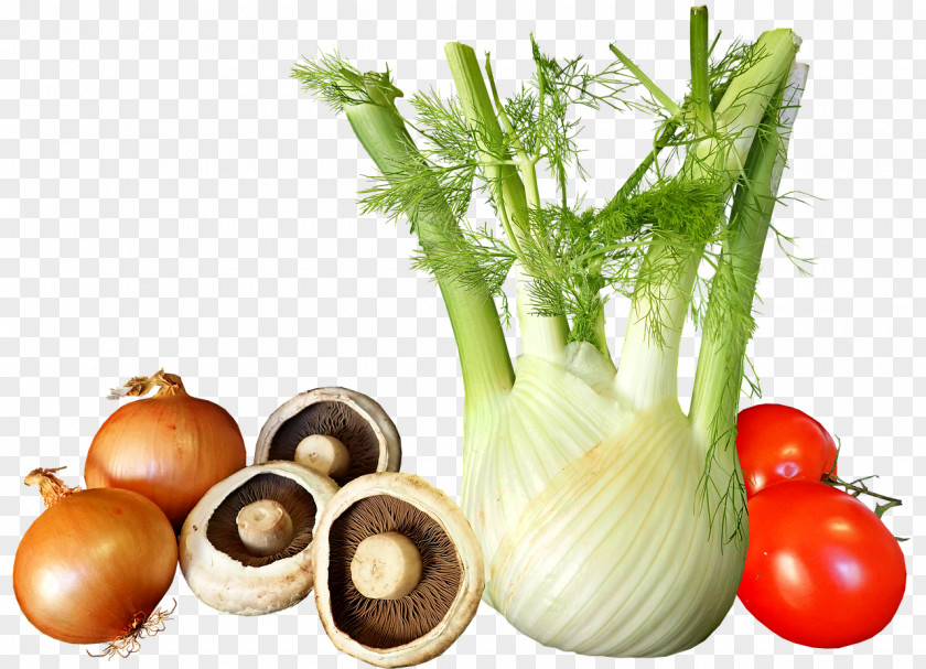 Rezene Fennel Vegetable Food Herb Salad PNG