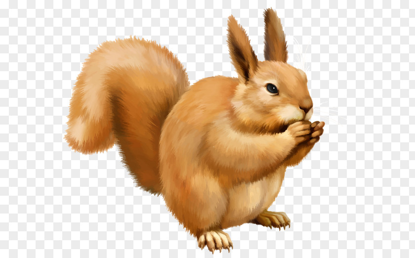 Squirrel Scrat Clip Art PNG