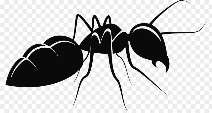Ant Silhouette Insect Vector Graphics Clip Art Drawing PNG