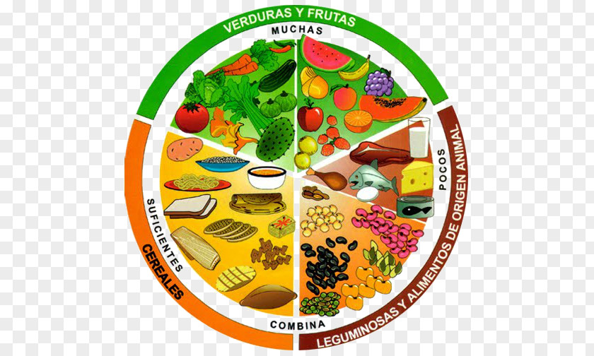 Plate Plato Del Buen Comer Food Eating Nutrition PNG