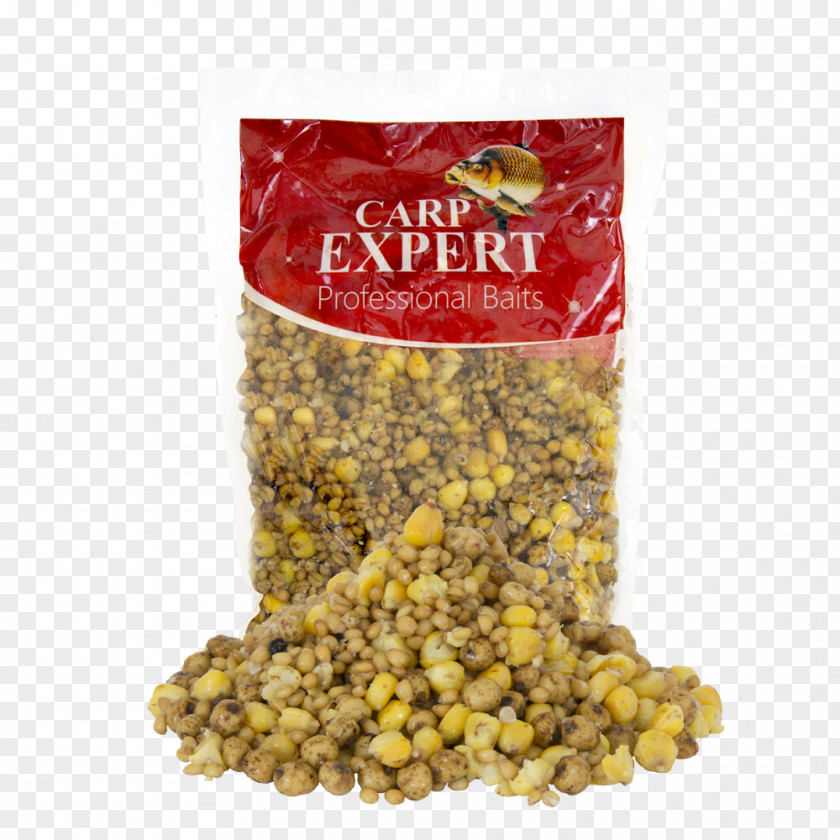 Spanyol Vegetarian Cuisine Seed Carp Hemp Mixture PNG