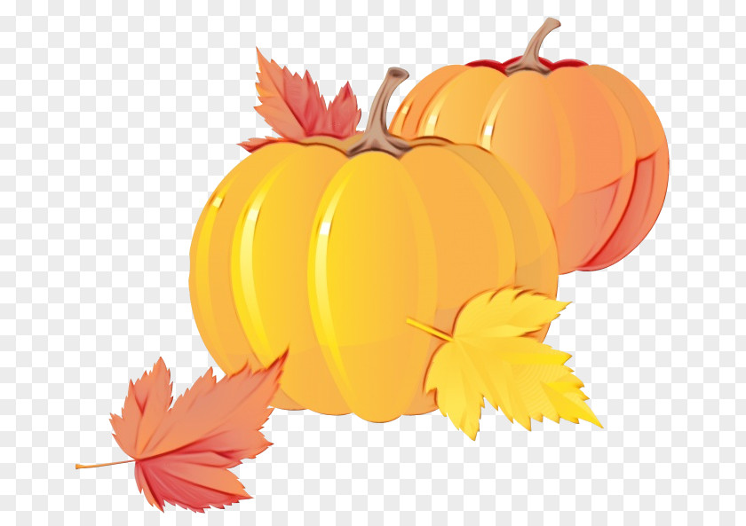 Thanksgiving Fruit Autumn Plant PNG