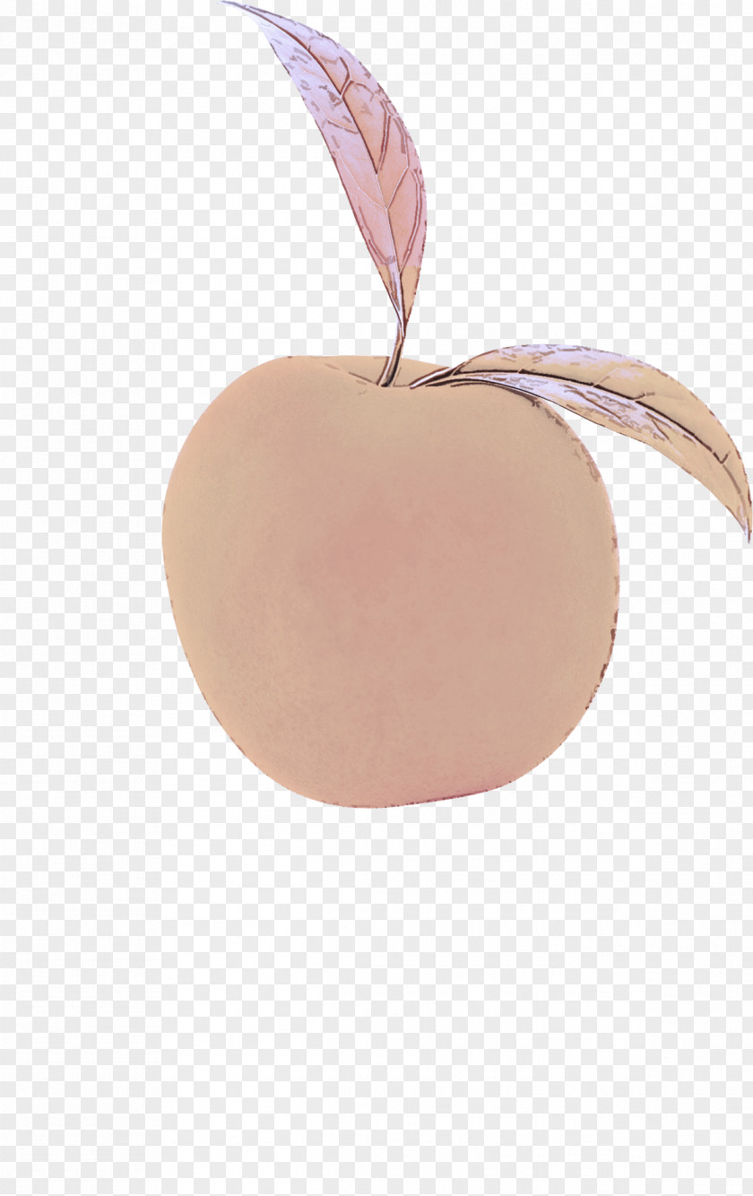 Apple Fruit Plant Leaf Peach PNG