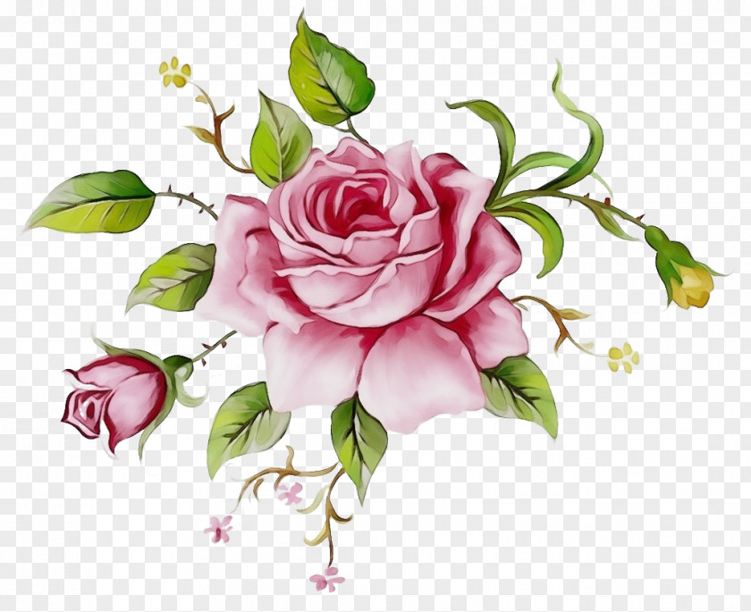 Garden Roses PNG