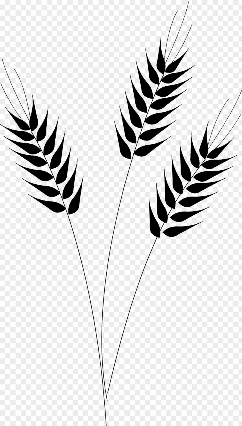 Grain Wheat Desktop Wallpaper Clip Art PNG