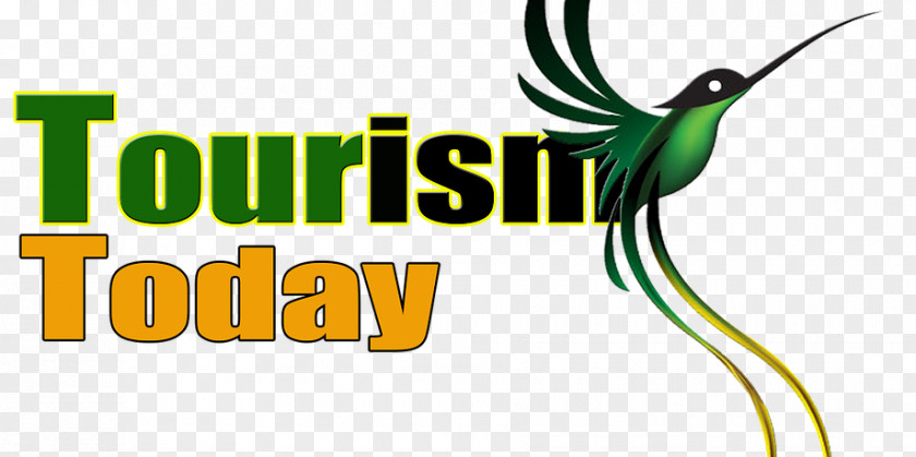 Tourist Travel Logo Jet Medical Tourism School Education Beak PNG