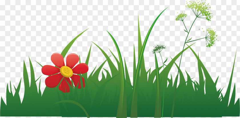 Beautiful Flowers And Grass Euclidean Vector Herbaceous Plant Element PNG