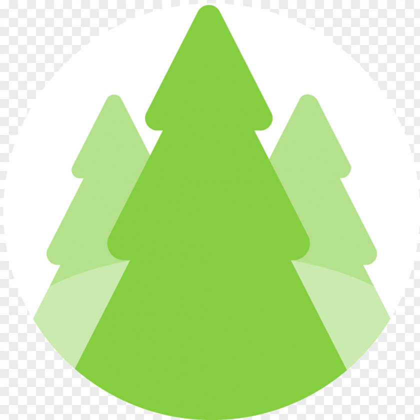 Christmas Tree Fir Ornament Spruce PNG