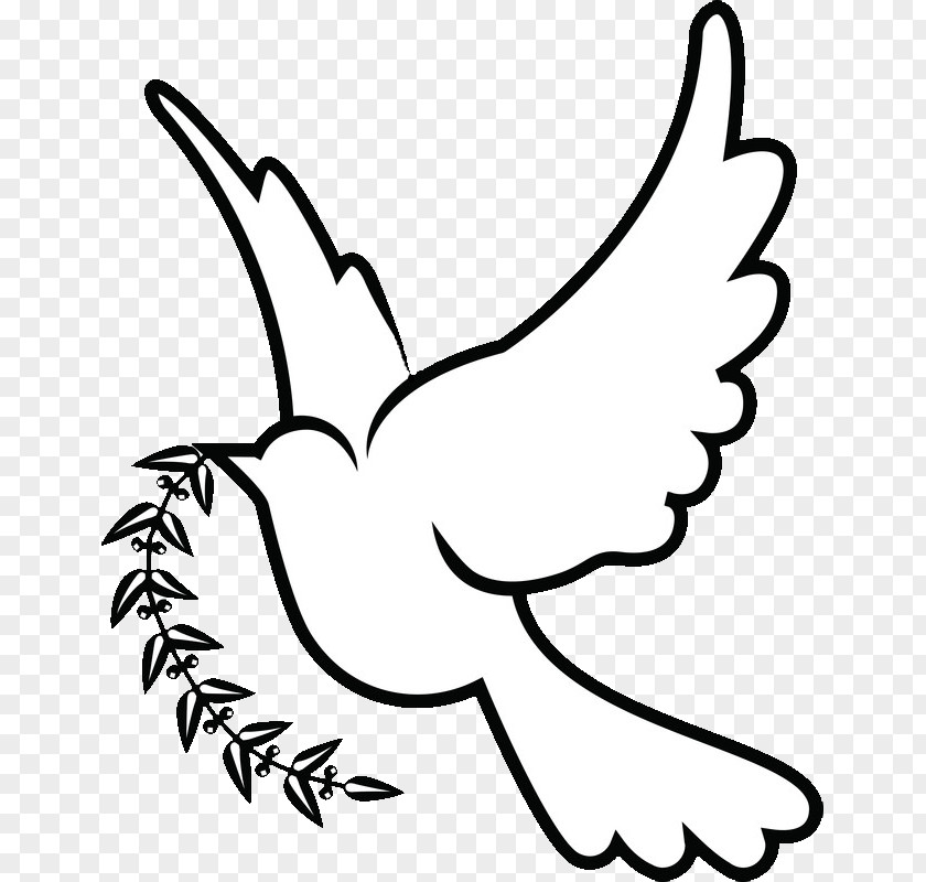 DOVE Columbidae Doves As Symbols Christianity Clip Art PNG