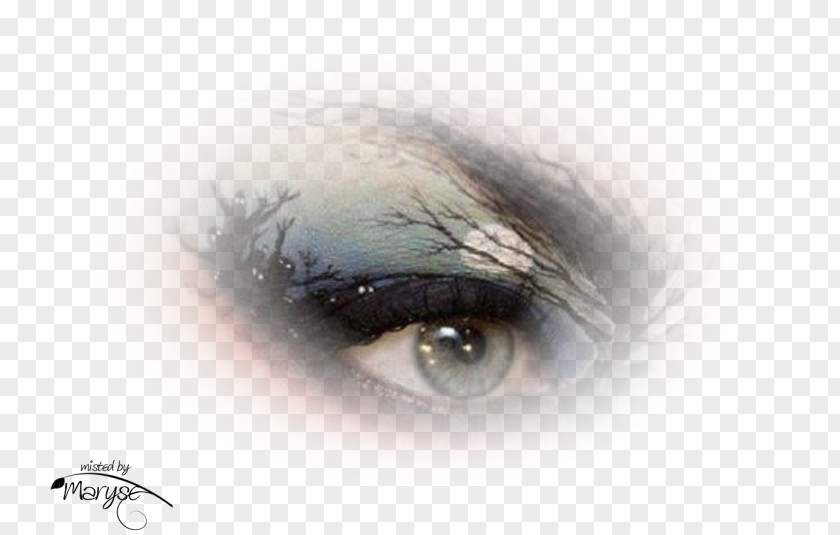 Eye Portrait Painting Photography PNG