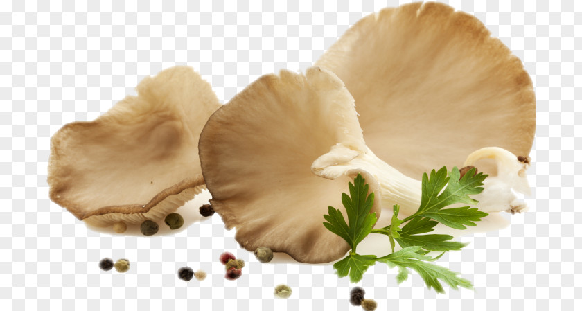 Oysters Oyster Mushroom Food Edible PNG