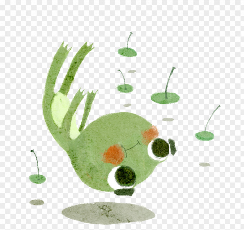 Painted Frog Illustration PNG