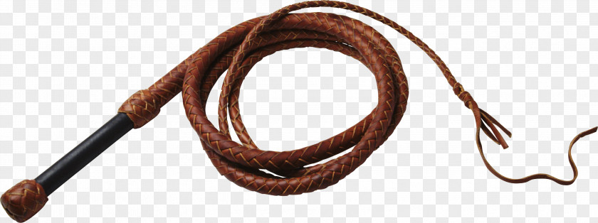 Spell Leather Knout Whip Horse Former Liang PNG