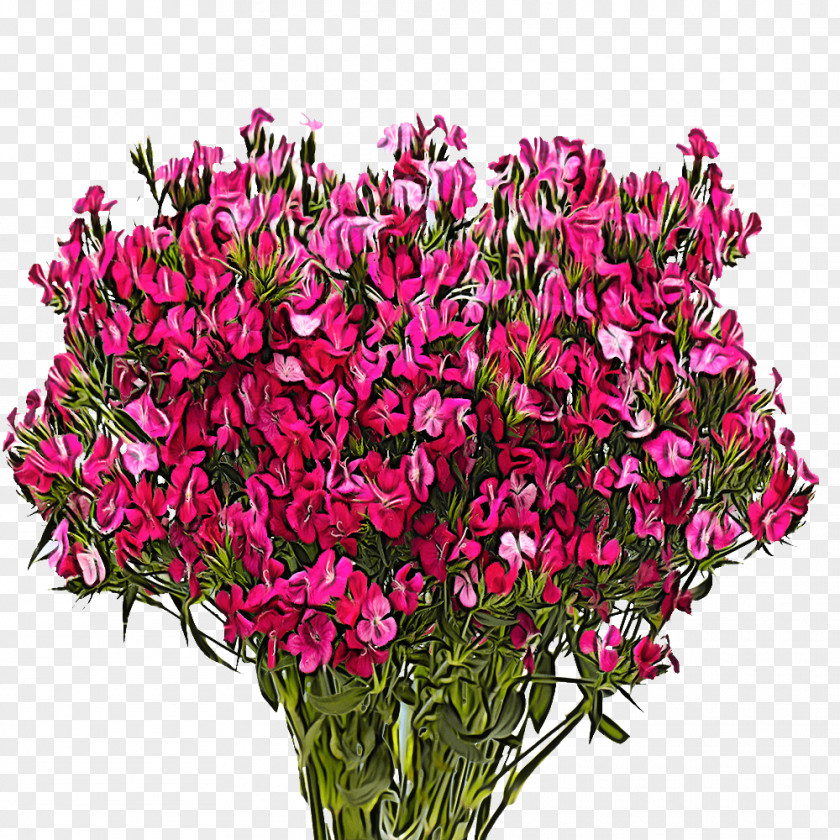 Floral Design PNG