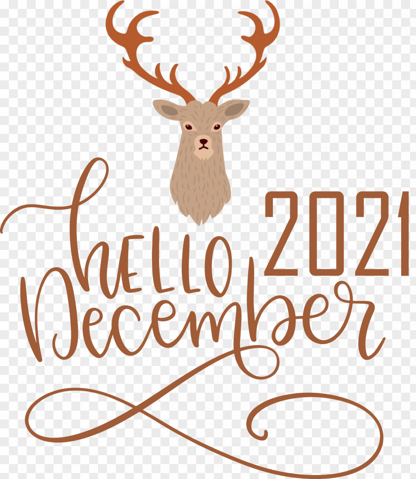 Hello December December Winter PNG