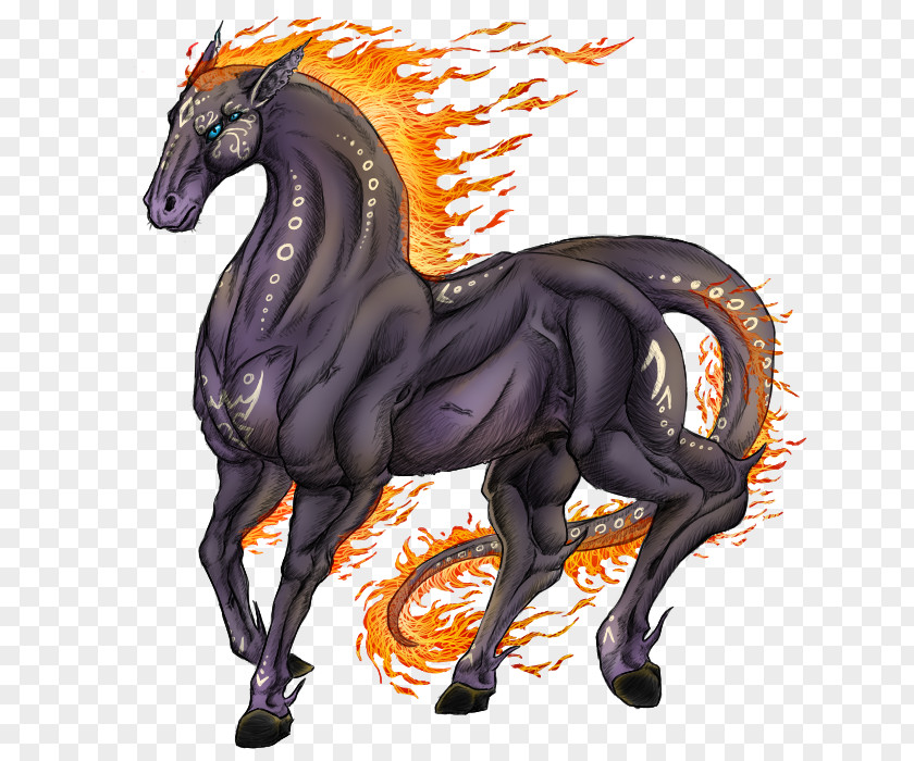 Mustang Stallion Dragon Illustration Cartoon PNG