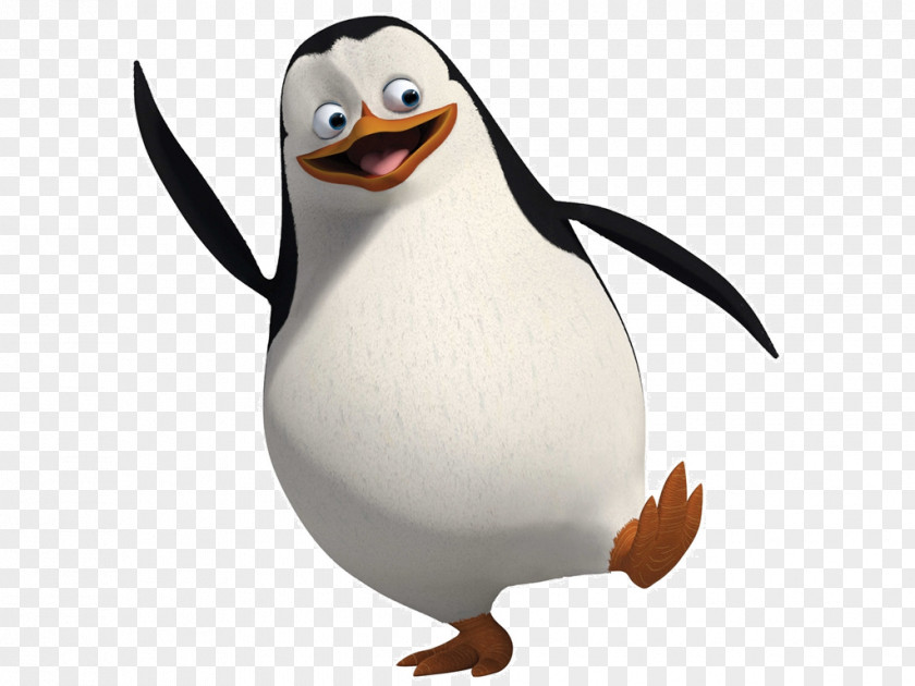 Penguin Kowalski Skipper Madagascar Bird PNG