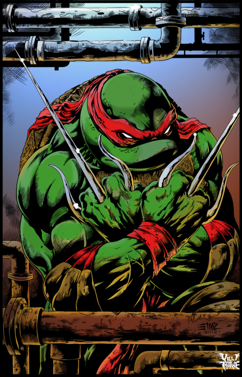 Ninja Turtles Raphael Leonardo Donatello Teenage Mutant Comics PNG