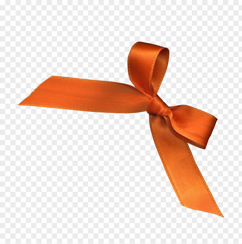 Orange Ribbon Bow Clip Art PNG