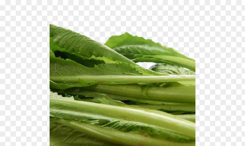 Organic Cabbage Romaine Lettuce Choy Sum Spring Greens Collard PNG