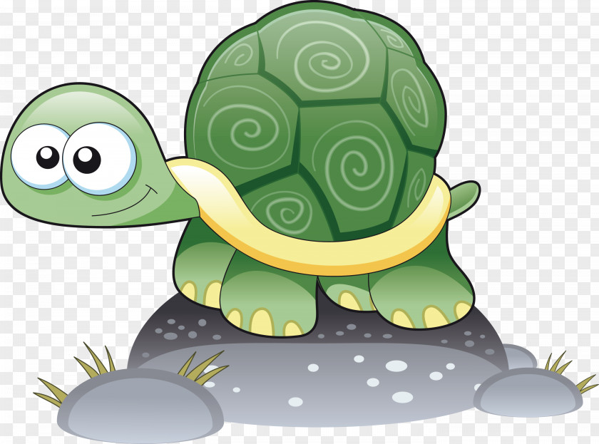 Turtle Vector Cartoon Drawing PNG