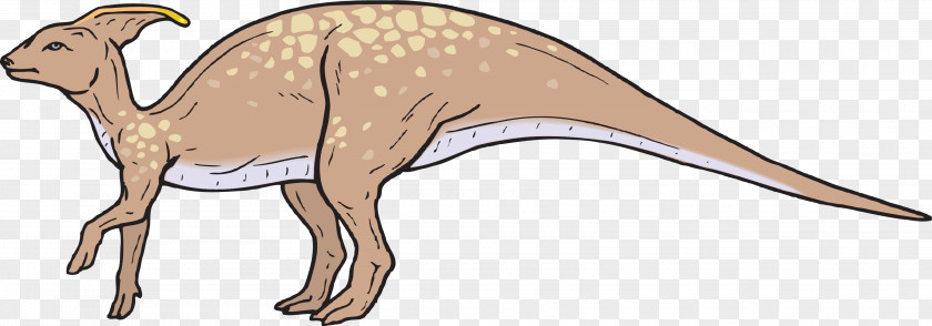 Dragon Silhouette Parasaurolophus Protoceratops Achelousaurus Abrictosaurus Dinosaur PNG