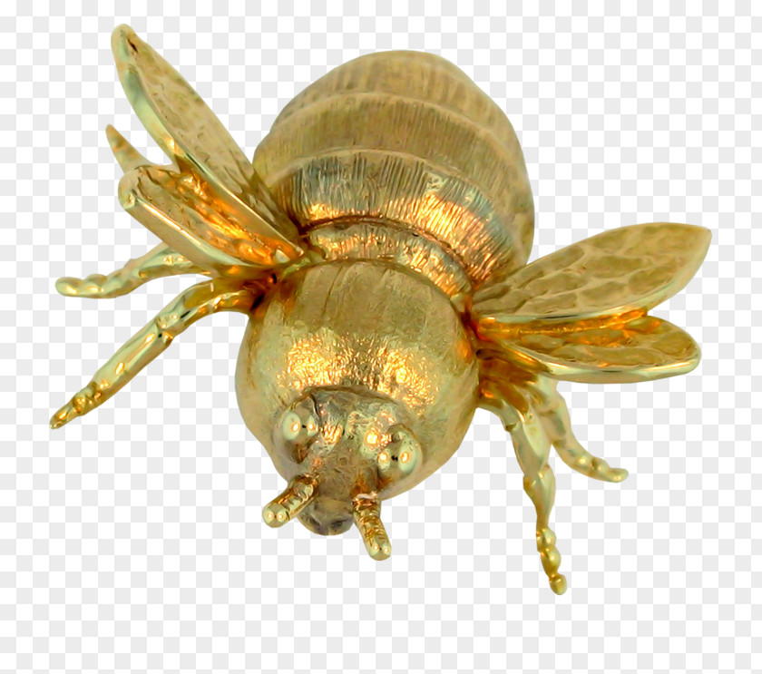 Golden Bee Insect Clip Art PNG