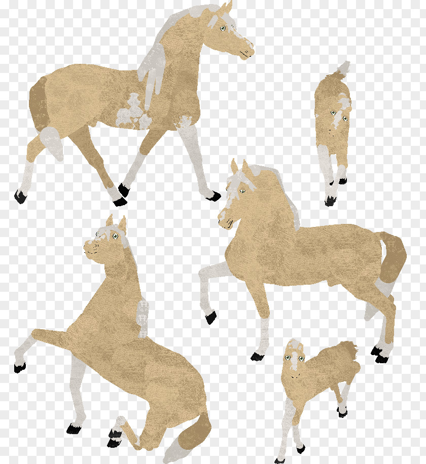 Mustang Gypsy Horse Clydesdale Horsez Animal PNG