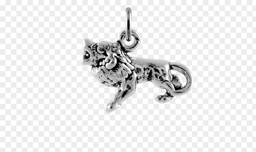 Silver Charms & Pendants Body Jewellery Animal PNG