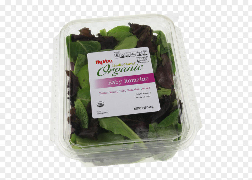 Romaine Lettuce Leaf Vegetable Herb PNG