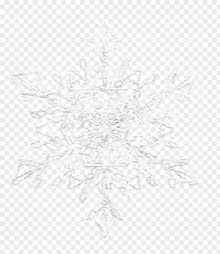 Snowflake Symmetry Pattern Line Tree PNG