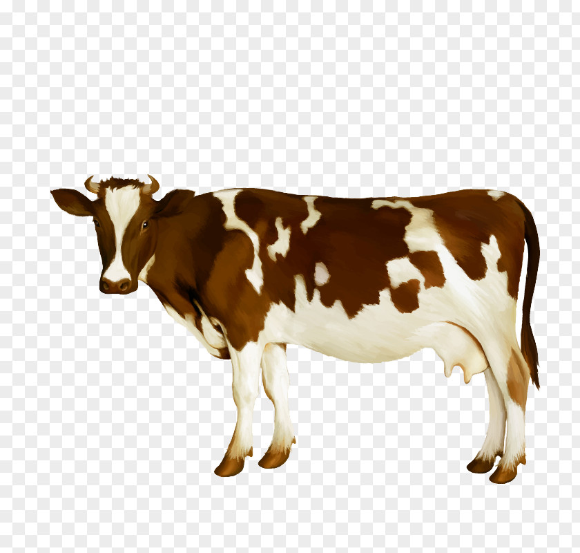Watercolor Cow Vector Dairy Cattle Milk Calf PNG