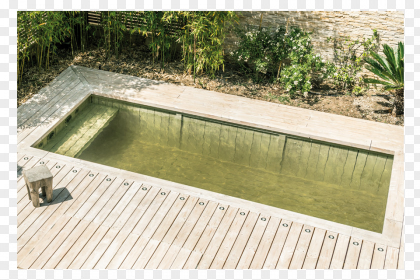 Window Swimming Pool Light Sunroom PNG