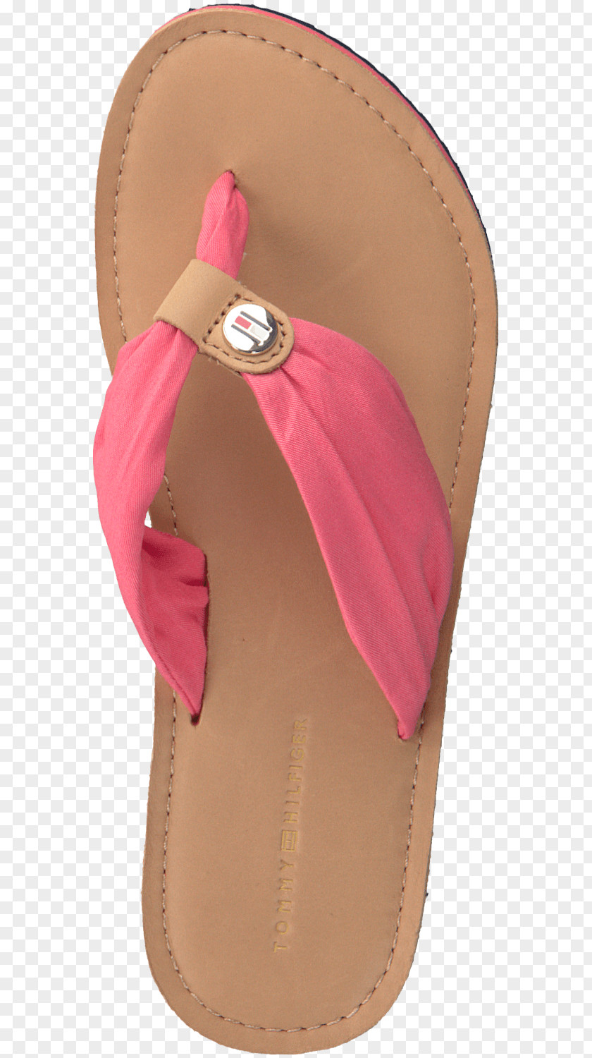 Bied Flip-flops Tommy Hilfiger Shoe Sandal Leather PNG