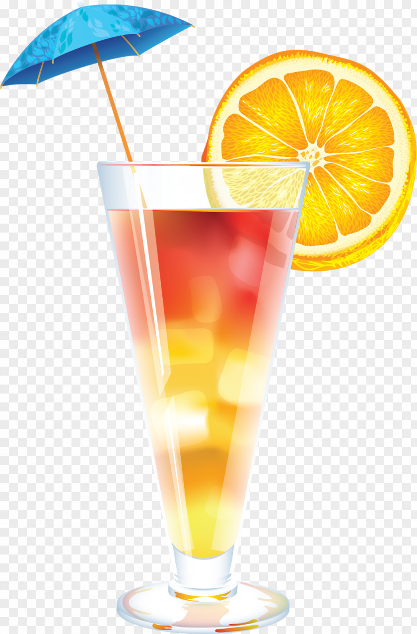 Cocktail Tequila Sunrise Martini Screwdriver Bloody Mary PNG