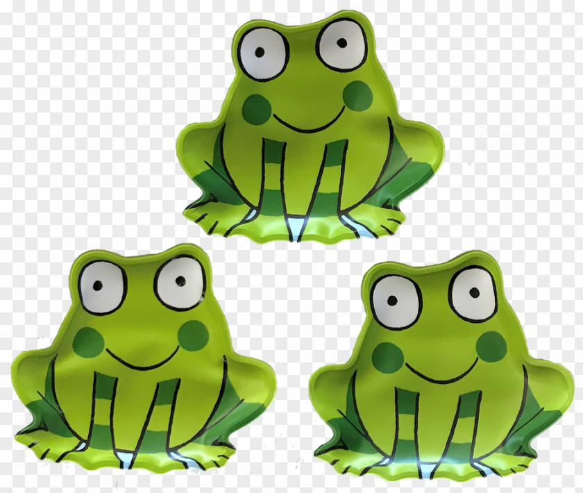 Frog True Tree Occidozyga Clip Art PNG