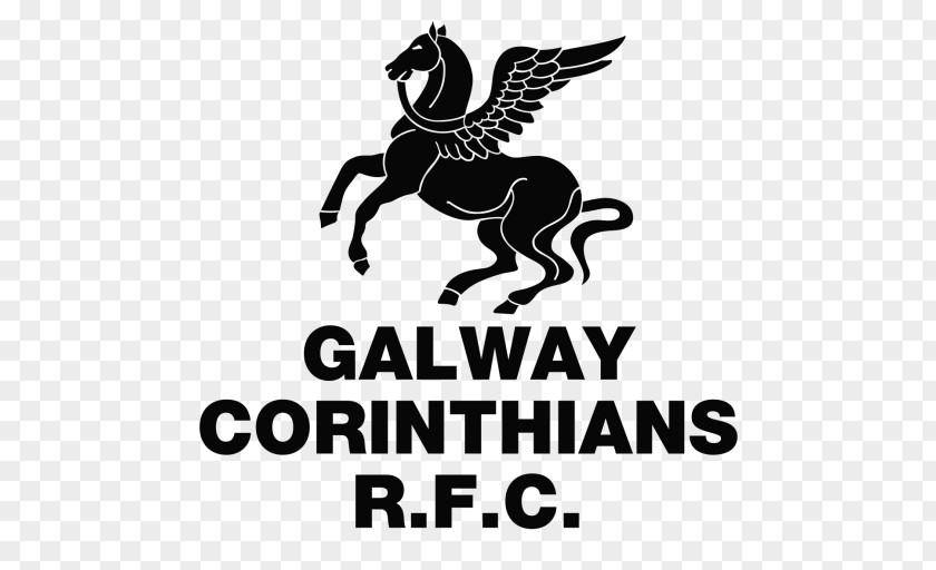 Galway Corinthians RFC Connacht Rugby Sligo PNG